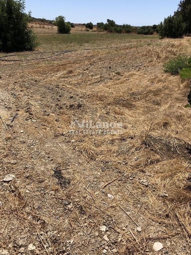 (Προς Πώληση) Αξιοποιήσιμη Γη Οικόπεδο || Λάρνακα/Καλαβασός - 9.698 τ.μ, 400.000€ 