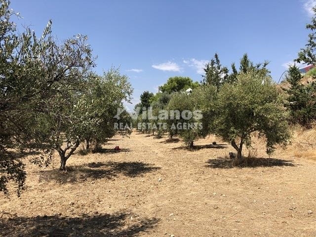 (For Sale) Land Plot || Limassol/Monagroulli - 5.742 Sq.m, 95.000€ 