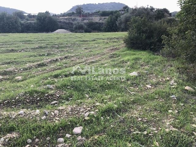 (For Sale) Land Plot || Limassol/Paramytha - 8.027 Sq.m, 1.275.000€ 