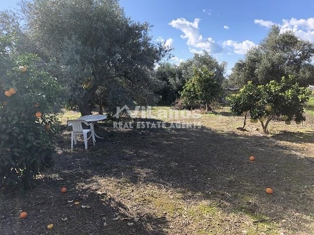 (Προς Πώληση) Αξιοποιήσιμη Γη Οικόπεδο || Λεμεσός/Ερήμη - 1.004 τ.μ, 196.000€ 