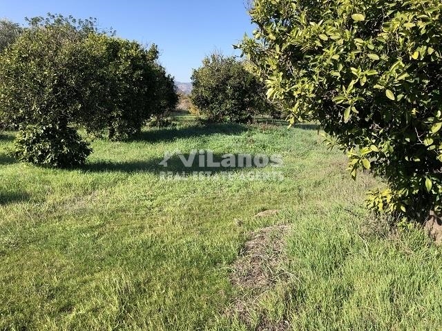 (For Sale) Land Plot || Limassol/Arakapas - 7.287 Sq.m, 60.000€ 