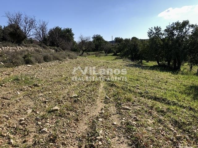 (For Sale) Land Plot || Limassol/Paramytha - 7.772 Sq.m, 135.000€ 