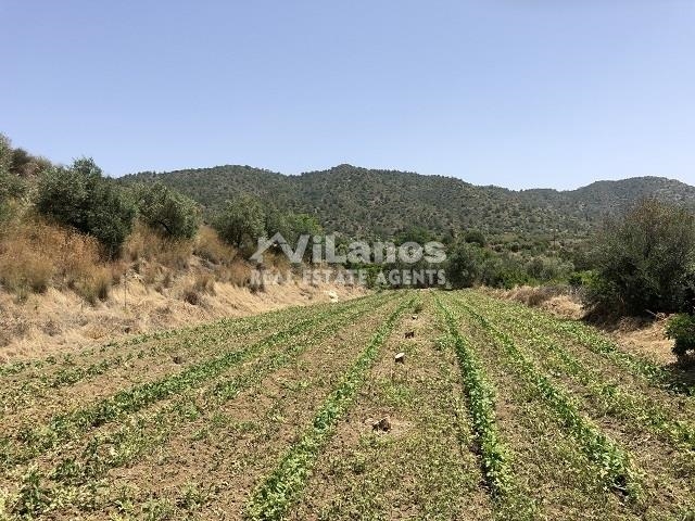 (Προς Πώληση) Αξιοποιήσιμη Γη Οικόπεδο || Λεμεσός/Αρακαπάς - 4.869 τ.μ, 69.000€ 