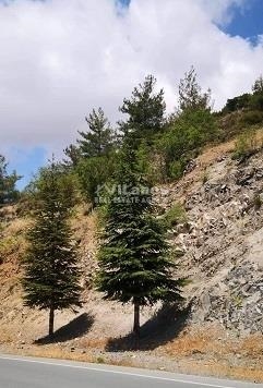 (For Sale) Land Plot || Limassol/Agros - 1.539 Sq.m, 180.000€ 