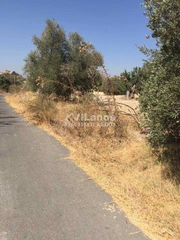 (For Sale) Land Agricultural Land  || Larnaca/Kalavasos - 15.415 Sq.m, 230.000€ 