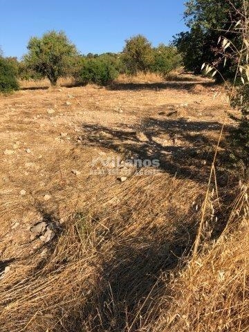 (For Sale) Land Plot || Limassol/Korfi - 553 Sq.m, 100.000€ 