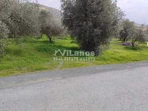(Προς Πώληση) Αξιοποιήσιμη Γη Οικόπεδο || Λεμεσός/Φασούλα Λεμεσού - 4.479 τ.μ, 689.000€ 