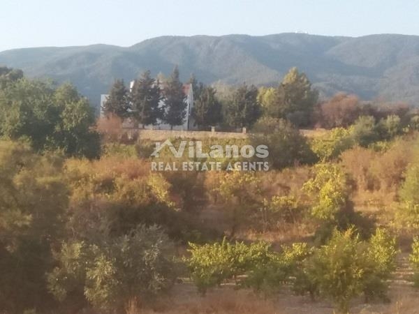 (用于出售) 建设用地 地块 || Limassol/Laneia - 2.007 平方米, 80.000€ 