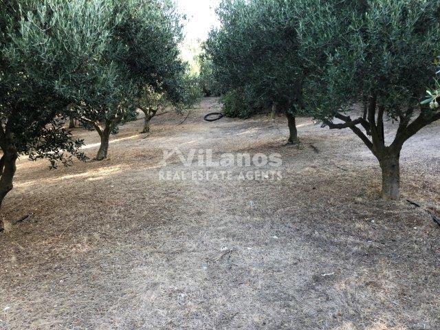 (Προς Πώληση) Αξιοποιήσιμη Γη Οικόπεδο || Λεμεσός/Κοιλάνι - 4.010 τ.μ, 200.000€ 