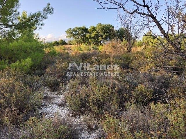 (Προς Πώληση) Αξιοποιήσιμη Γη Οικόπεδο || Λεμεσός/Σιλίκου - 3.010 τ.μ, 120.000€ 