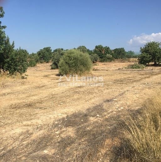 (Προς Πώληση) Αξιοποιήσιμη Γη Οικόπεδο || Λεμεσός/Κιβίδες Πάνω - 11.192 τ.μ, 135.000€ 