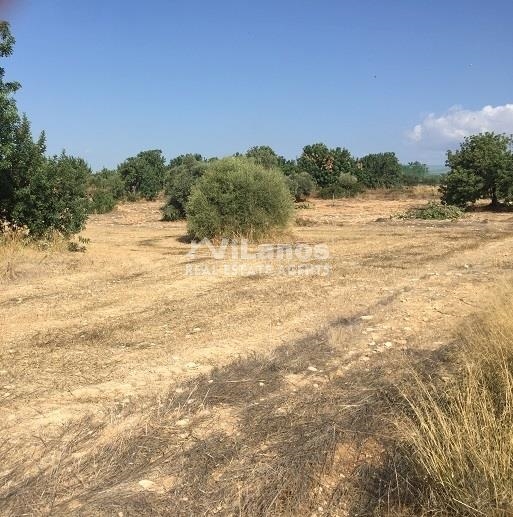 (用于出售) 建设用地 地块 || Limassol/Kivides Pano - 11.192 平方米, 135.000€ 