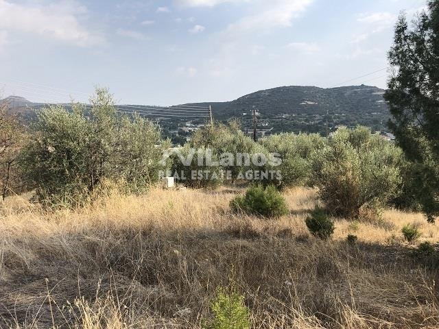 (Προς Πώληση) Αξιοποιήσιμη Γη Οικόπεδο || Λεμεσός/Παραμύθα - 1.295 τ.μ, 180.000€ 