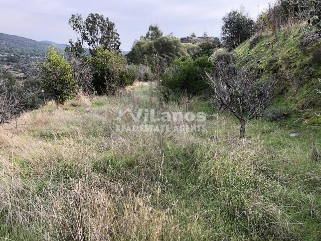 (For Sale) Land Plot || Limassol/Arakapas - 3.196 Sq.m, 53.000€ 