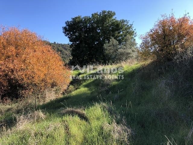 (For Sale) Land Plot || Limassol/Kapileio - 1.965 Sq.m, 20.000€ 