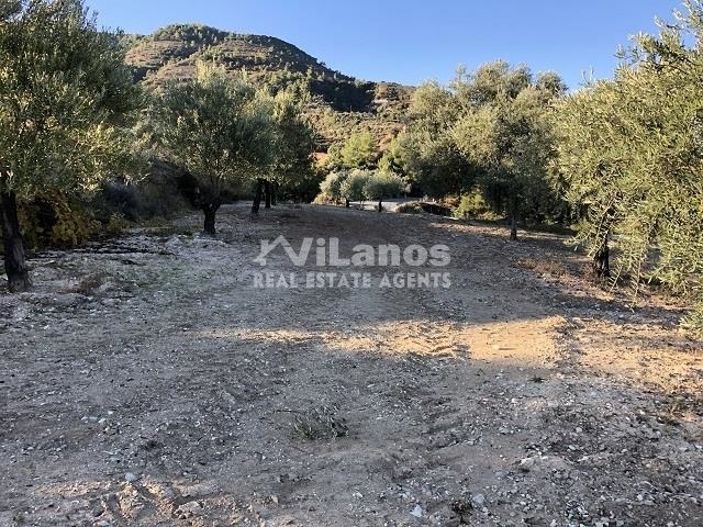 (用于出售) 建设用地 地块 || Limassol/ - 3.890 平方米, 212.000€ 