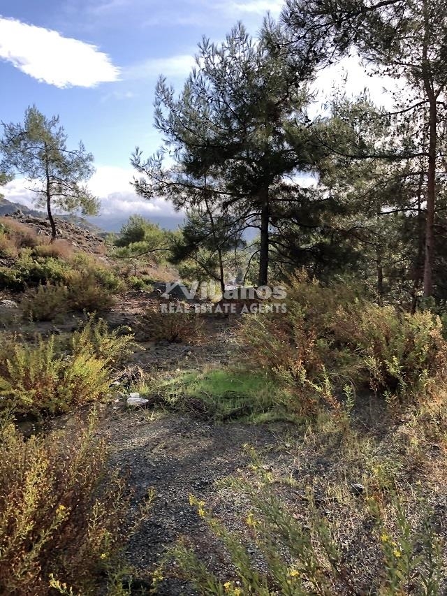 (For Sale) Land Plot || Limassol/Pelendri - 622 Sq.m, 55.000€ 