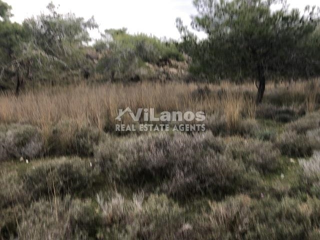 (For Sale) Land Plot || Limassol/Pissouri - 17.057 Sq.m, 1.200.000€ 