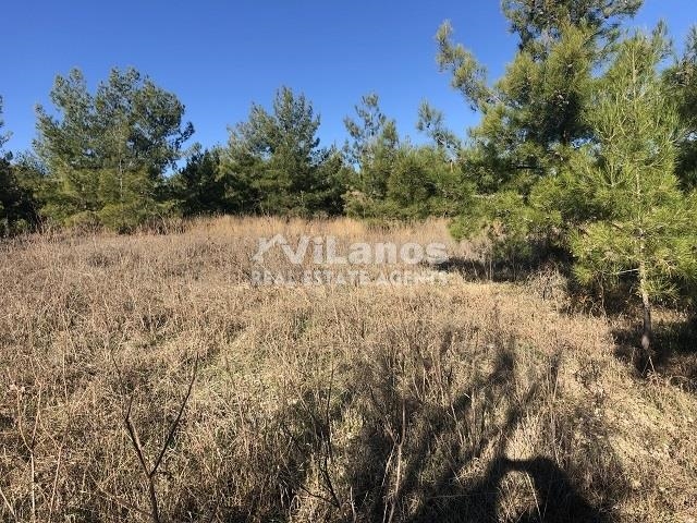 (用于出售) 建设用地 地块 || Limassol/Pera Pedi - 5.352 平方米, 430.000€ 