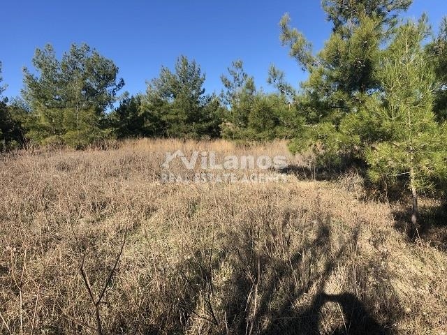 (For Sale) Land Plot || Limassol/Pera Pedi - 5.352 Sq.m, 430.000€ 