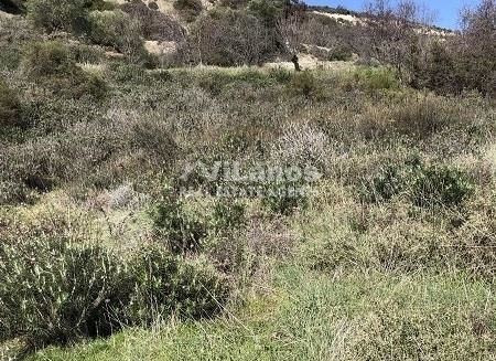 (For Sale) Land Plot || Limassol/Kapileio - 7.376 Sq.m, 45.000€ 