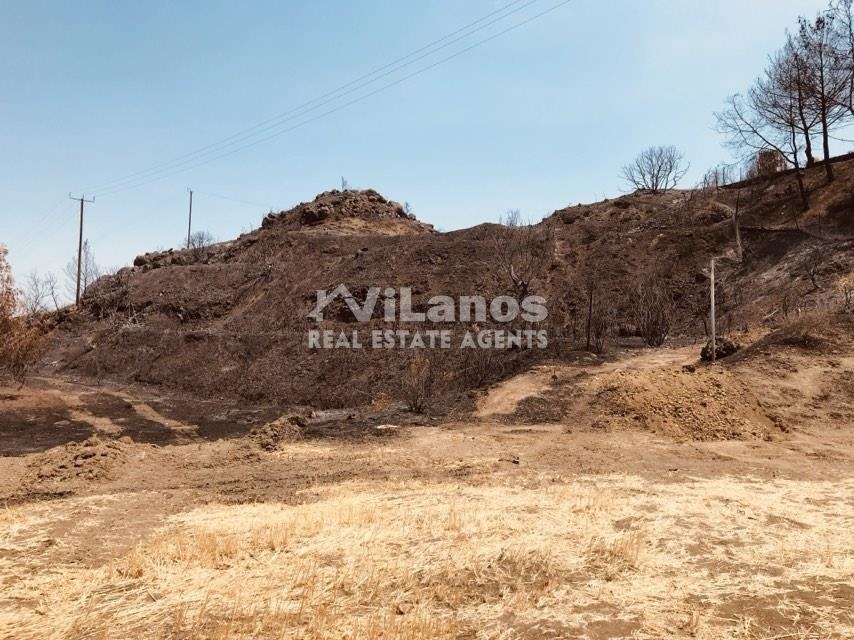 (Προς Πώληση) Αξιοποιήσιμη Γη Οικόπεδο || Λεμεσός/Επταγώνεια - 5.352 τ.μ, 125.000€ 