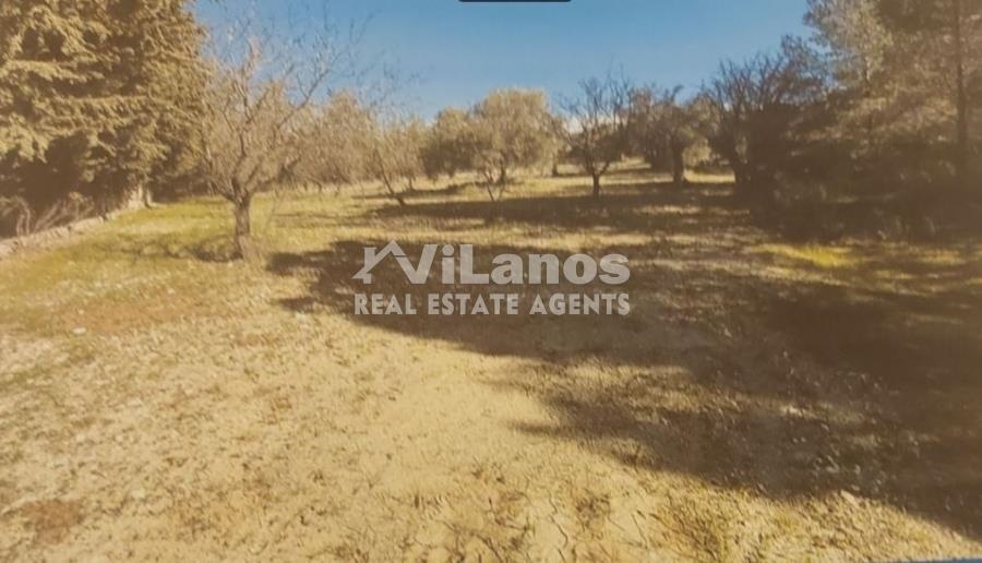 (Προς Πώληση) Αξιοποιήσιμη Γη Οικόπεδο || Λεμεσός/Τριμήκλινη - 3.531 τ.μ, 80.000€ 