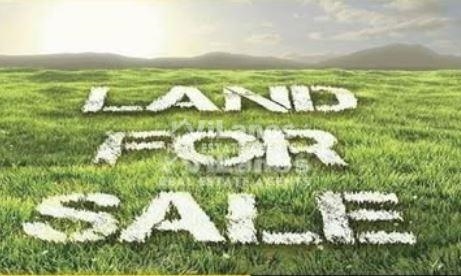 (Προς Πώληση) Αξιοποιήσιμη Γη Έκταση || Λεμεσός/Ερήμη - 12.474 τ.μ, 850.000€ 