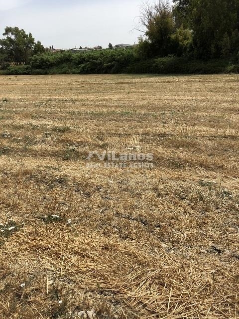 (Προς Πώληση) Αξιοποιήσιμη Γη Οικόπεδο || Λεμεσός/Πύργος - 2.733 τ.μ, 140.000€ 