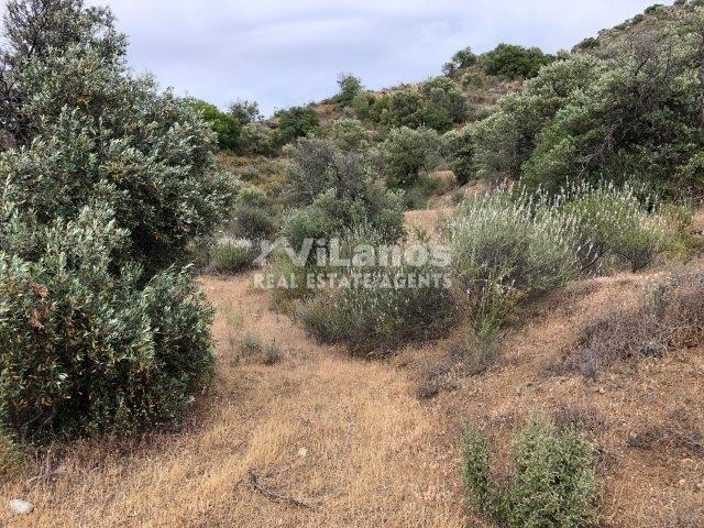 (Προς Πώληση) Αξιοποιήσιμη Γη Αγροτεμάχιο || Λεμεσός/Διερώνα - 9.895 τ.μ, 27.000€ 