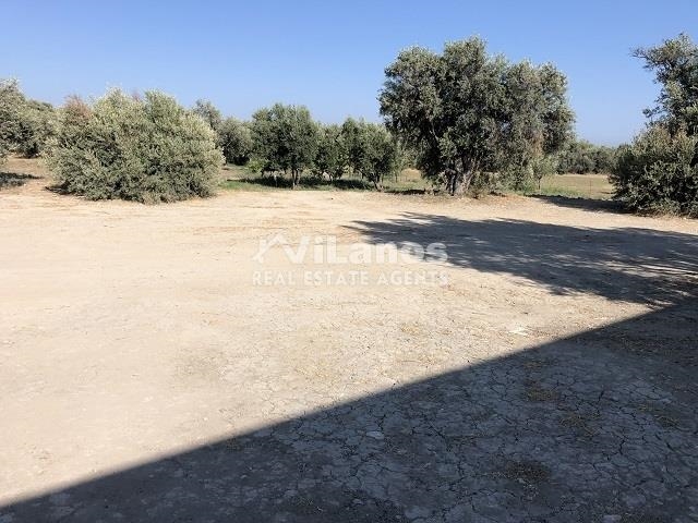 (Προς Πώληση) Αξιοποιήσιμη Γη Οικόπεδο || Λεμεσός/Κολόσσι - 1.171 τ.μ, 170.000€ 