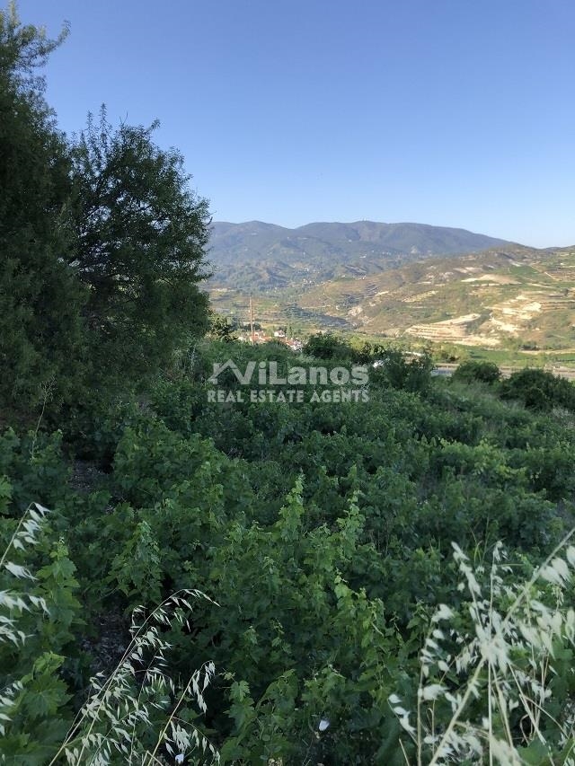 (Προς Πώληση) Αξιοποιήσιμη Γη Οικόπεδο || Λεμεσός/Όμοδος - 4.886 τ.μ, 195.000€ 