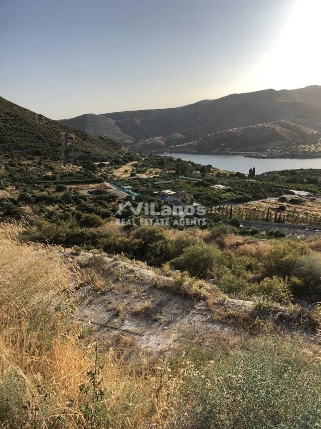 (For Sale) Land Plot || Limassol/Foinikaria - 1.770 Sq.m, 200.000€ 
