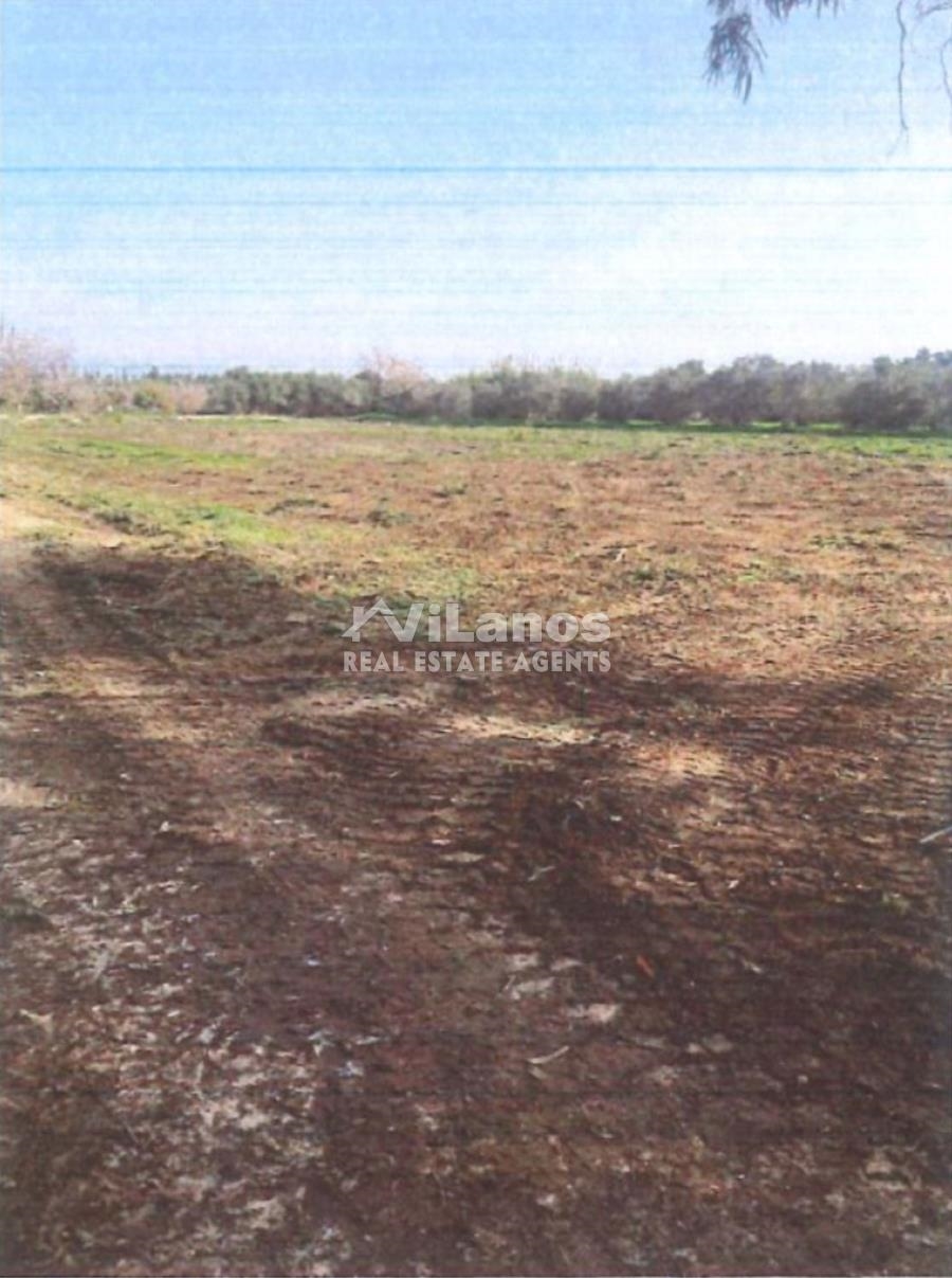 (For Sale) Land Agricultural Land  || Limassol/Akrotiri - 4.305 Sq.m, 65.000€ 